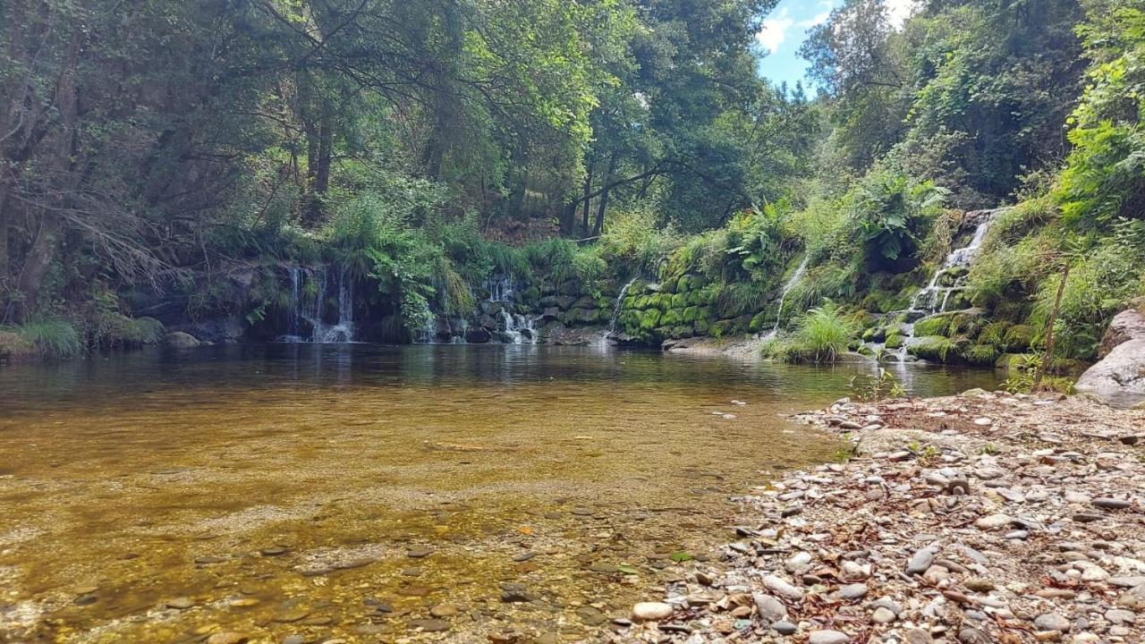Sitio Dos Cogumelos Alojamentos Amarante Zewnętrze zdjęcie
