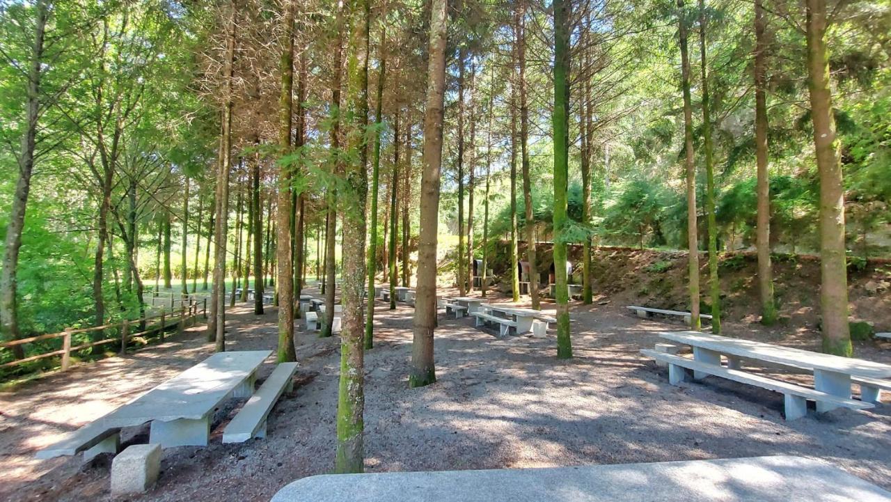 Sitio Dos Cogumelos Alojamentos Amarante Zewnętrze zdjęcie